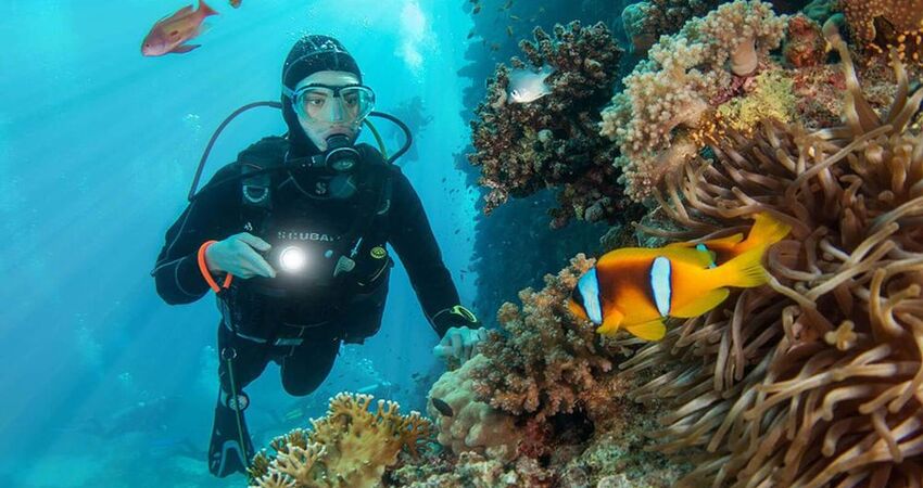 SHARM EL SHEIKH TURU 4 GECE RIXOS KONAKLAMALI