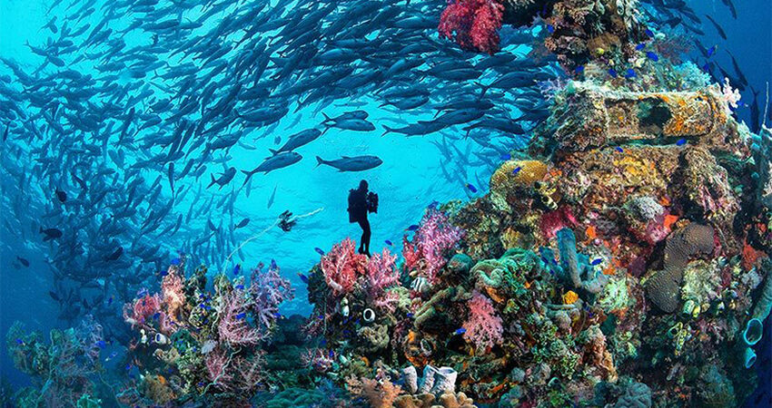 SHARM EL SHEIKH TURU 4 GECE RIXOS KONAKLAMALI