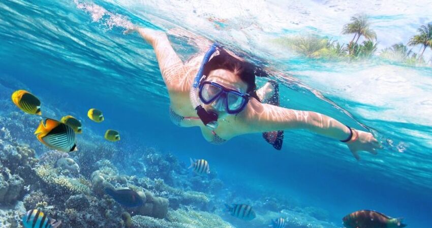 VİZESİZ FULL HER ŞEY DAHİL SHARM EL SHEIKH 